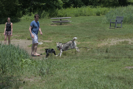 20250622_Dog park and Dog Park Again__DSC0421_.jpg