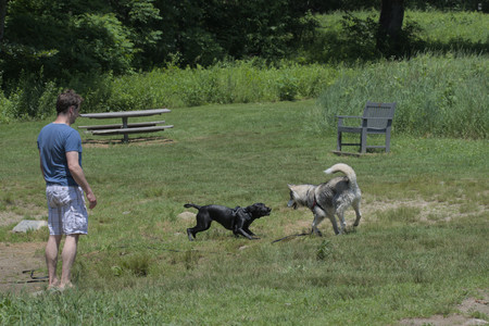 20250622_Dog park and Dog Park Again__DSC0423_.jpg