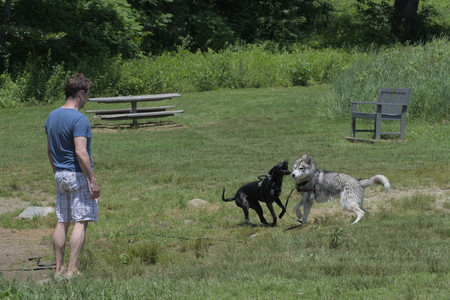 20250622_Dog park and Dog Park Again__DSC0424_.jpg