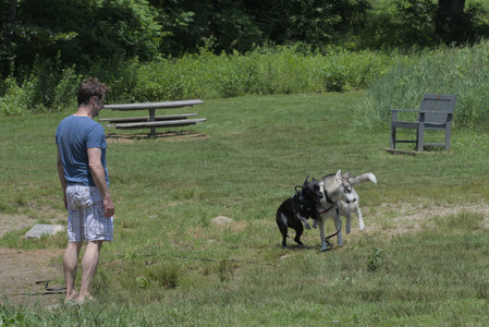 20250622_Dog park and Dog Park Again__DSC0425_.jpg