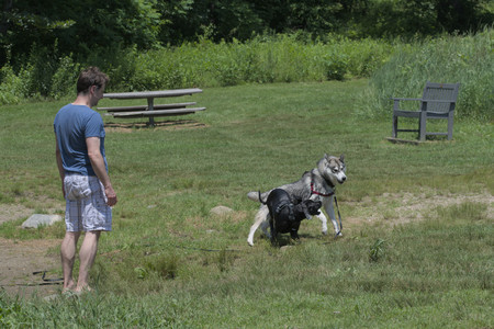 20250622_Dog park and Dog Park Again__DSC0426_.jpg