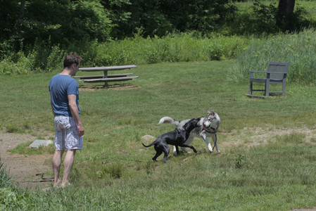 20250622_Dog park and Dog Park Again__DSC0428_.jpg