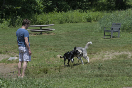 20250622_Dog park and Dog Park Again__DSC0430_.jpg