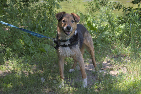 20250622_Dog park and Dog Park Again__DSC0437_.jpg