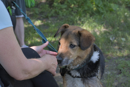 20250622_Dog park and Dog Park Again__DSC0448_.jpg