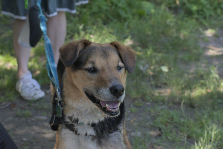 20250622_Dog park and Dog Park Again__DSC0455_.jpg