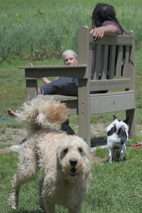 20250622_Dog park and Dog Park Again__DSC0471_.jpg