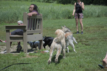 20250622_Dog park and Dog Park Again__DSC0476_.jpg