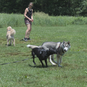 20250622_Dog park and Dog Park Again__DSC0478_.jpg