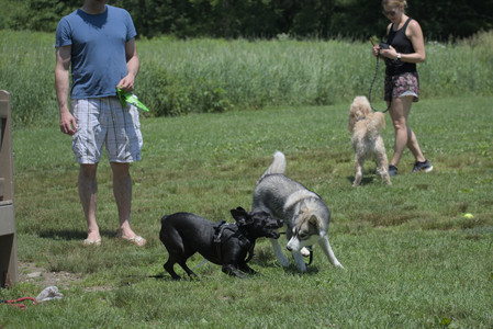 20250622_Dog park and Dog Park Again__DSC0487_.jpg