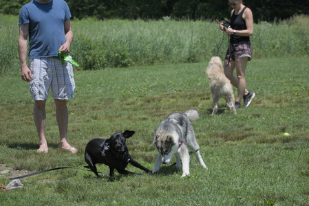 20250622_Dog park and Dog Park Again__DSC0488_.jpg