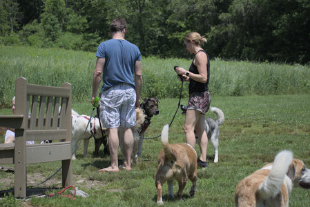 20250622_Dog park and Dog Park Again__DSC0497_.jpg