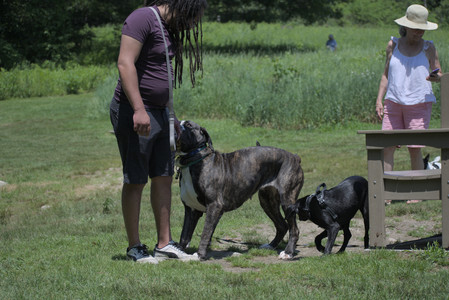 20250622_Dog park and Dog Park Again__DSC0521_.jpg