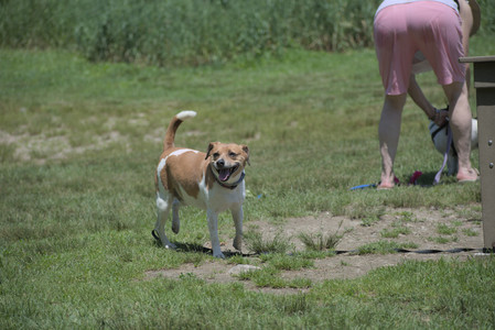 20250622_Dog park and Dog Park Again__DSC0544_.jpg