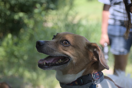 20250622_Dog park and Dog Park Again__DSC0572_.jpg