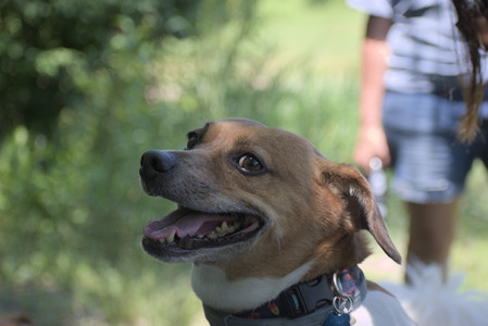 20250622_Dog park and Dog Park Again__DSC0574_.jpg