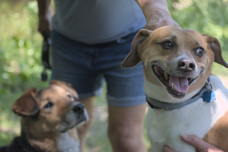 20250622_Dog park and Dog Park Again__DSC0582_.jpg