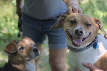 20250622_Dog park and Dog Park Again__DSC0583_.jpg