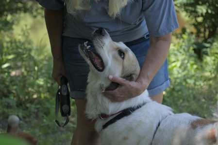 20250622_Dog park and Dog Park Again__DSC0600_.jpg