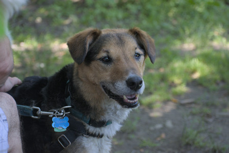 20250622_Dog park and Dog Park Again__DSC0604_.jpg