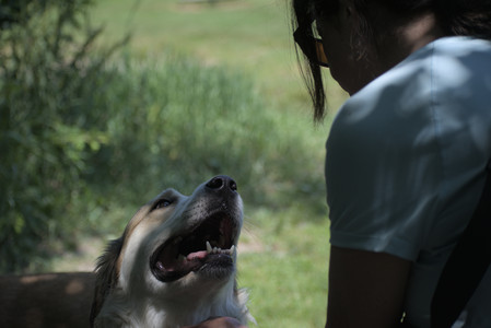 20250622_Dog park and Dog Park Again__DSC0610_.jpg