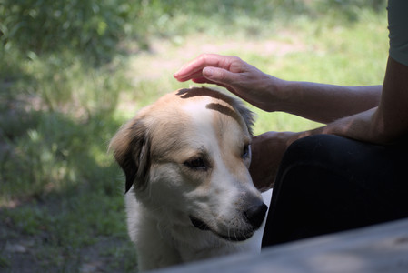 20250622_Dog park and Dog Park Again__DSC0612_.jpg