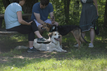 20250622_Dog park and Dog Park Again__DSC0646_.jpg