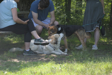 20250622_Dog park and Dog Park Again__DSC0653_.jpg