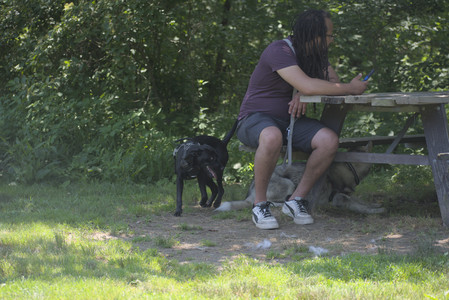 20250622_Dog park and Dog Park Again__DSC0661_.jpg