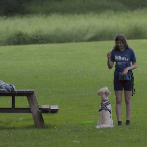 20250622_Dog park and Dog Park Again__DSC0710_.jpg