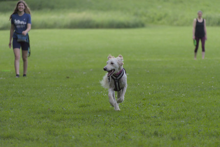 20250622_Dog park and Dog Park Again__DSC0720_.jpg