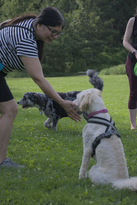 20250622_Dog park and Dog Park Again__DSC0829_.jpg