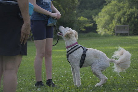 20250622_Dog park and Dog Park Again__DSC0832_.jpg