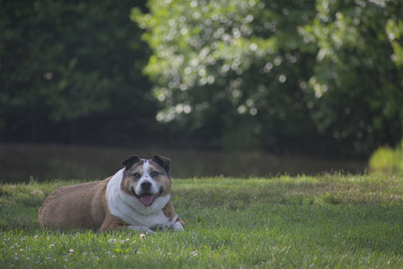 20250622_Dog park and Dog Park Again__DSC0845_.jpg