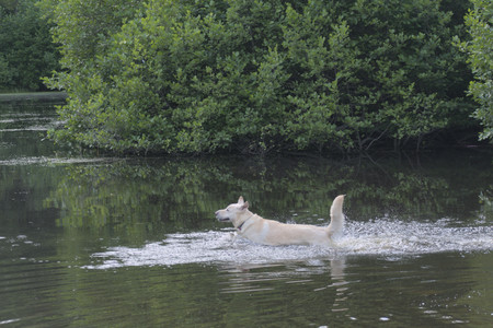 20250622_Dog park and Dog Park Again__DSC0874_.jpg