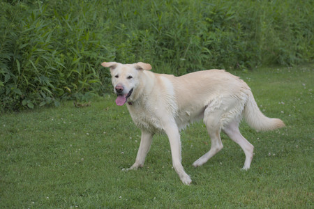 20250622_Dog park and Dog Park Again__DSC0879_.jpg