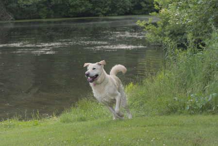 20250622_Dog park and Dog Park Again__DSC0881_.jpg