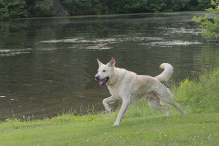 20250622_Dog park and Dog Park Again__DSC0882_.jpg