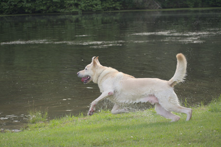 20250622_Dog park and Dog Park Again__DSC0884_.jpg