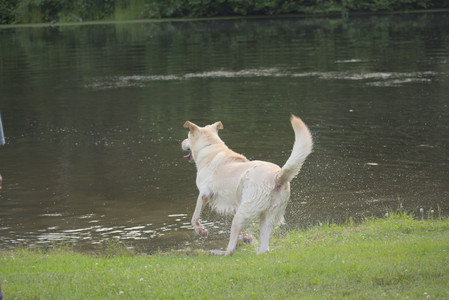 20250622_Dog park and Dog Park Again__DSC0886_.jpg