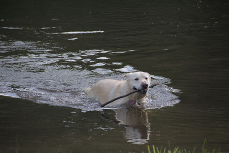 20250622_Dog park and Dog Park Again__DSC0888_.jpg