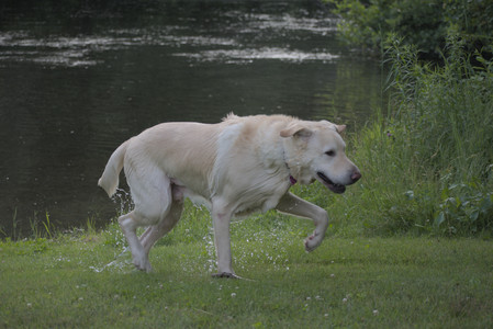20250622_Dog park and Dog Park Again__DSC0893_.jpg