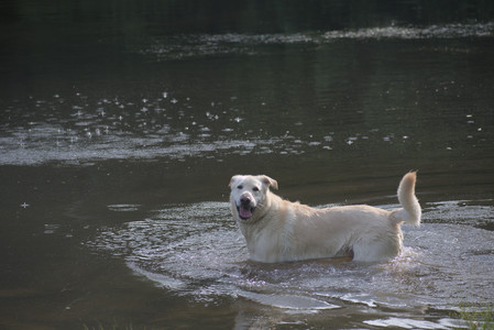 20250622_Dog park and Dog Park Again__DSC0919_.jpg