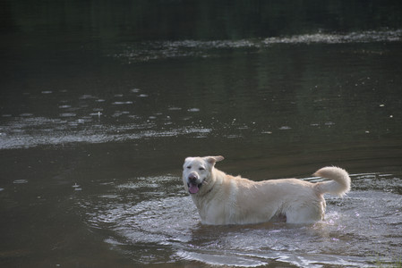 20250622_Dog park and Dog Park Again__DSC0920_.jpg