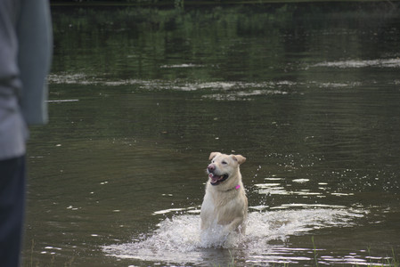 20250622_Dog park and Dog Park Again__DSC0928_.jpg