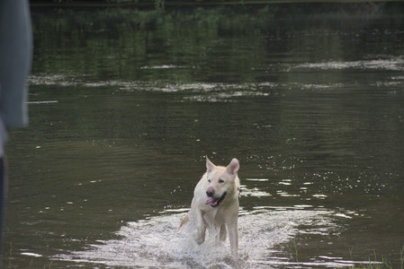 20250622_Dog park and Dog Park Again__DSC0929_.jpg