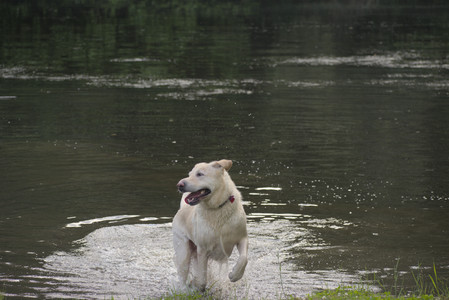 20250622_Dog park and Dog Park Again__DSC0931_.jpg