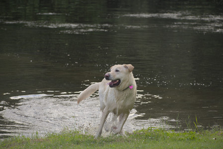 20250622_Dog park and Dog Park Again__DSC0933_.jpg