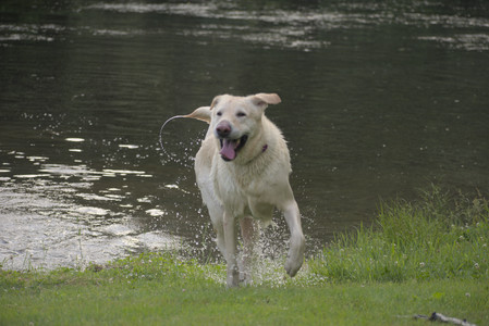 20250622_Dog park and Dog Park Again__DSC0935_.jpg