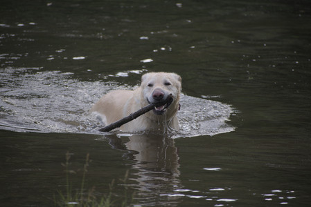 20250622_Dog park and Dog Park Again__DSC0974_.jpg